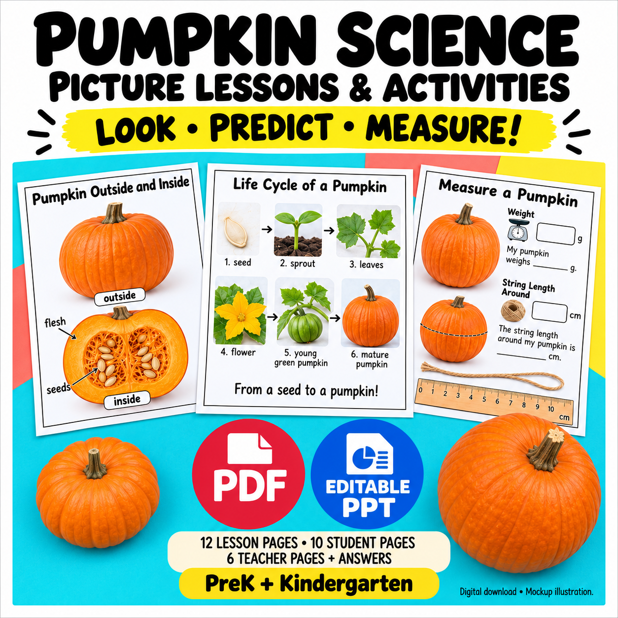 Product cover for the optional Pumpkin Science Activities for Preschool: Look, Predict and Measure teaching resource
